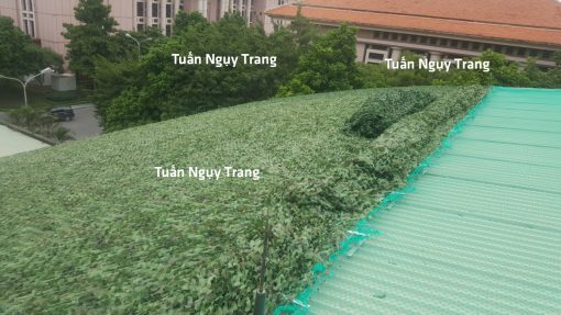 Lưới nguỵ trang rằn ri xanh lính thuỷ (lính biển) da trời camo cao cấp trang trí bể bơi - Ảnh 8